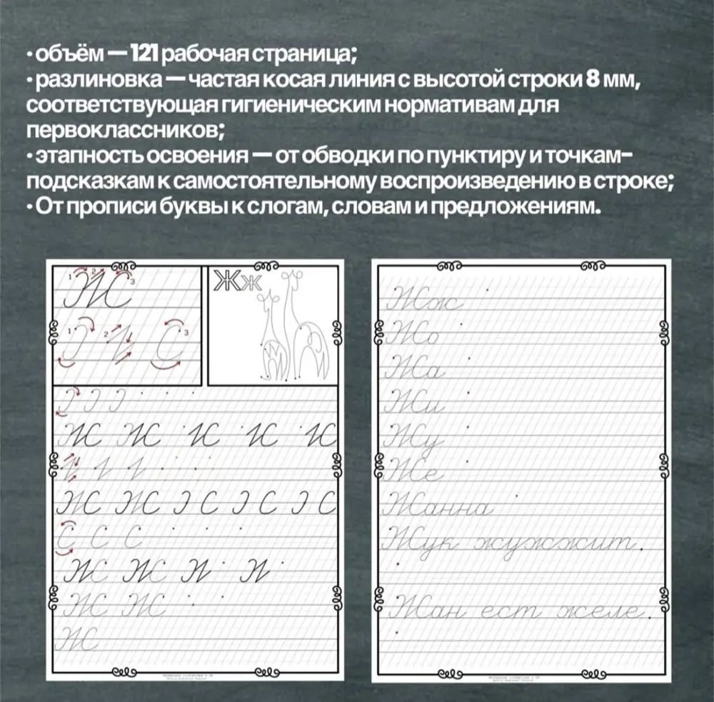Развороты прописи с упражнениями и разлиновкой